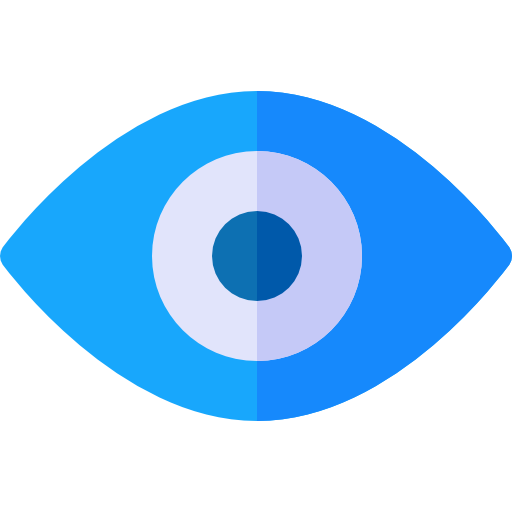 Our Vision